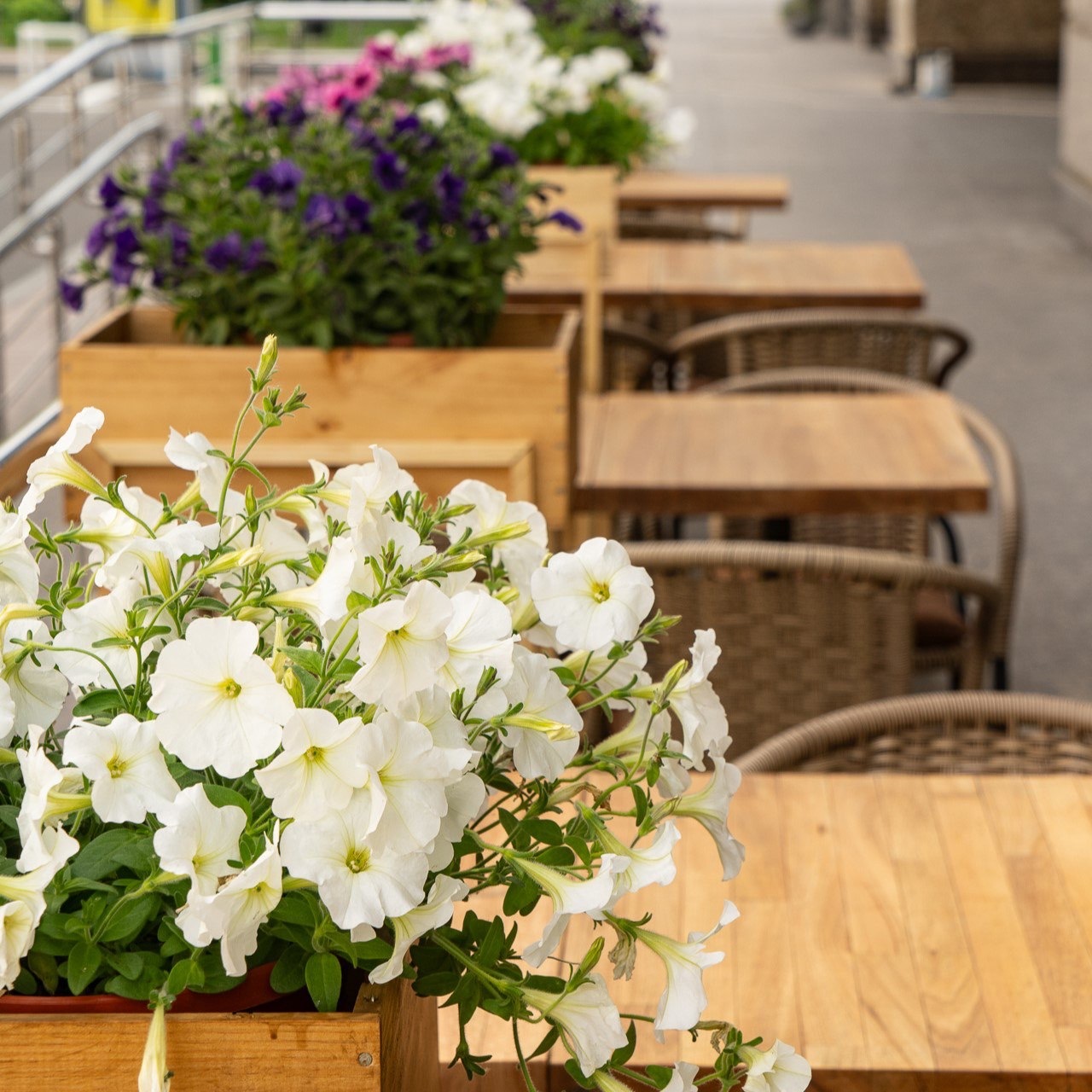 Лето в Гусе