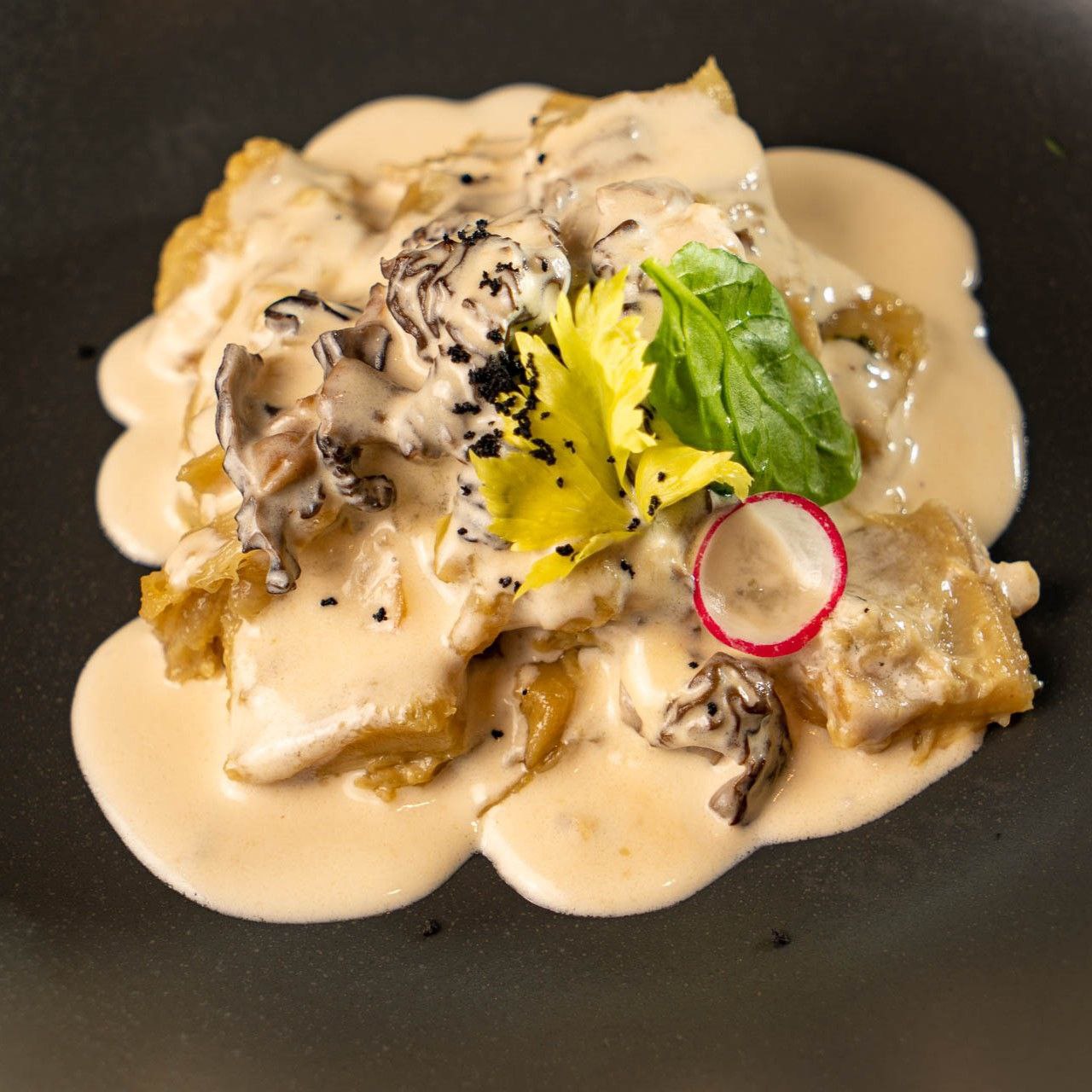 Сморчки в Гусе