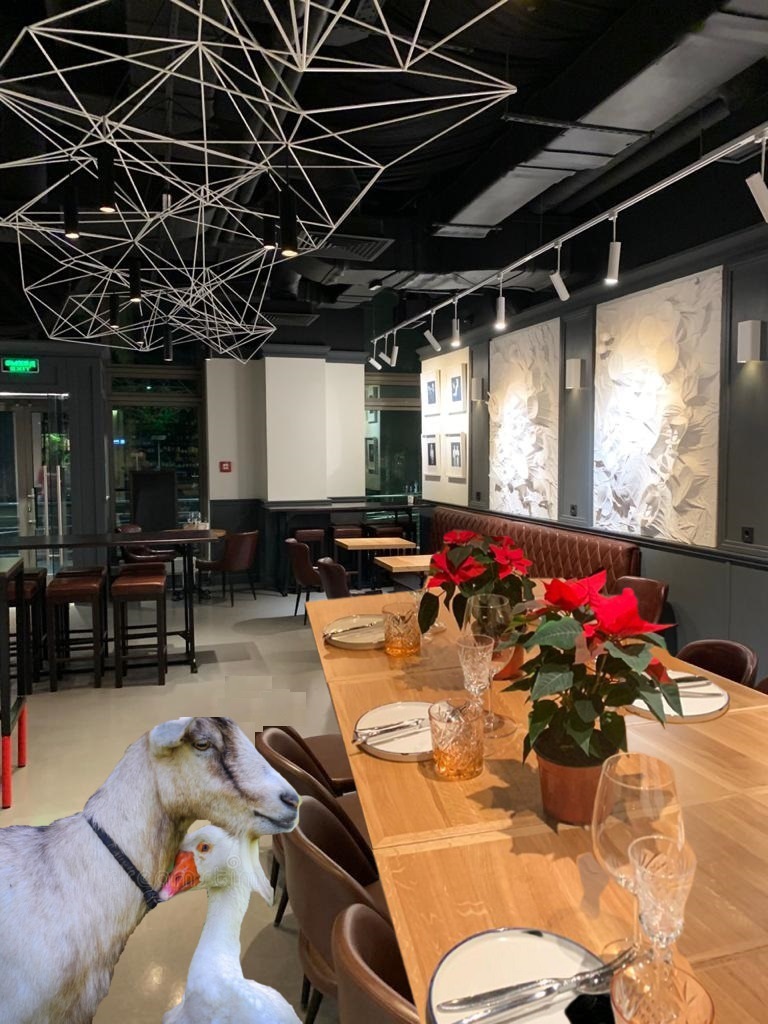 Воскресный бранч 20 Декабря, с гусем и козлёнком!